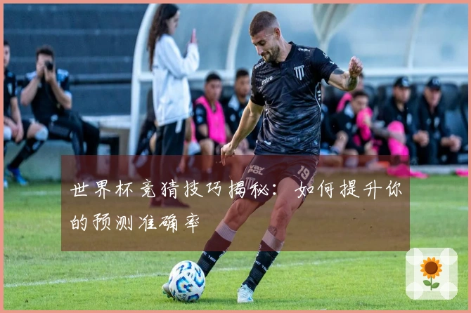 世界杯竞猜技巧揭秘：如何提升你的预测准确率