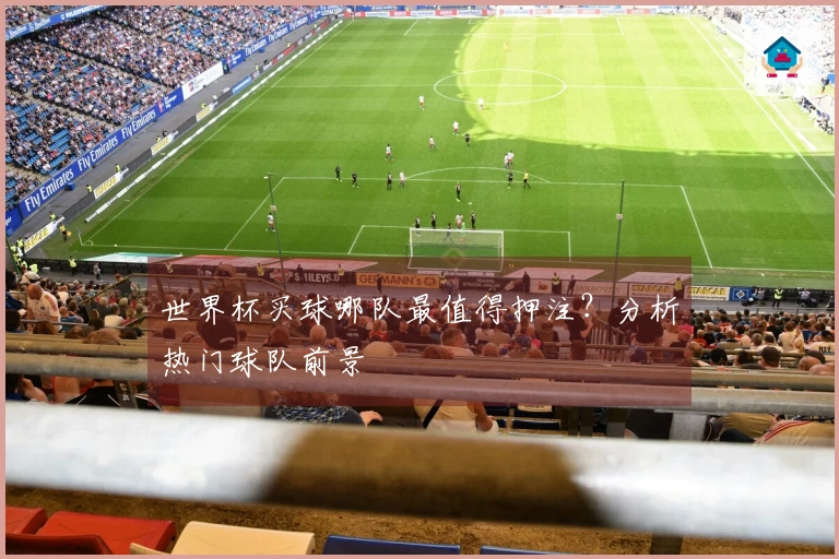 世界杯买球哪队最值得押注？分析热门球队前景