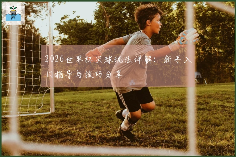 2026世界杯买球玩法详解：新手入门指导与技巧分享