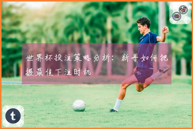 世界杯投注策略分析：新手如何把握最佳下注时机