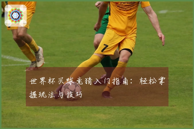 世界杯买球竞猜入门指南：轻松掌握玩法与技巧